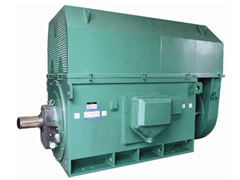 雨山Y系列6KV高压电机